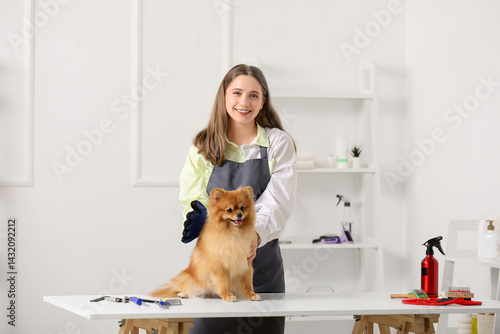 Female groomer brushing Pom...