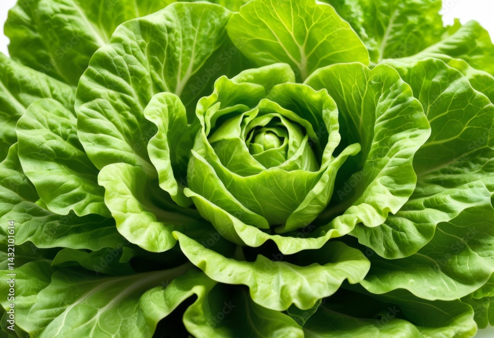 Fototapeta premium There is a close-up of leafy greens