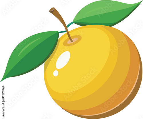A vibrant vector illustration of the delicious yuzu fruit, showcasing its citrusy texture and color in a fresh, artistic style.