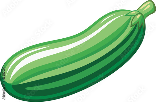A vibrant vector art illustration of a delicious zucchini fruit, showcasing fresh, colorful detail perfect for culinary or agricultural design projects.