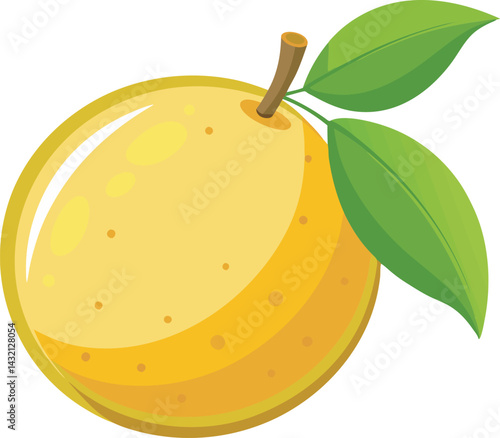 A vibrant vector art illustration of a delicious yuzu fruit, showcasing its fresh, citrusy appeal with detailed, colorful design elements.