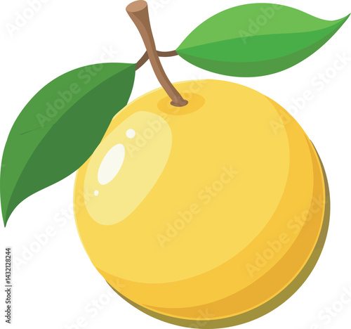 A vibrant vector art illustration of a delicious yuzu fruit, showcasing its fresh, citrusy appeal with detailed, colorful design elements.