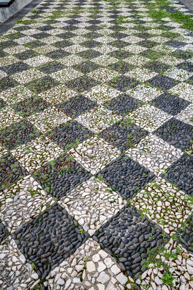 Geometric Cobblestone Pavement with Emerging Greenery: Unique Urban Texture. Patterned cobblestones, diamond design, black and white stones, blending natural elements with urban design.