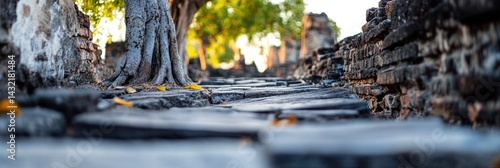  ancient city of ayuthaya 