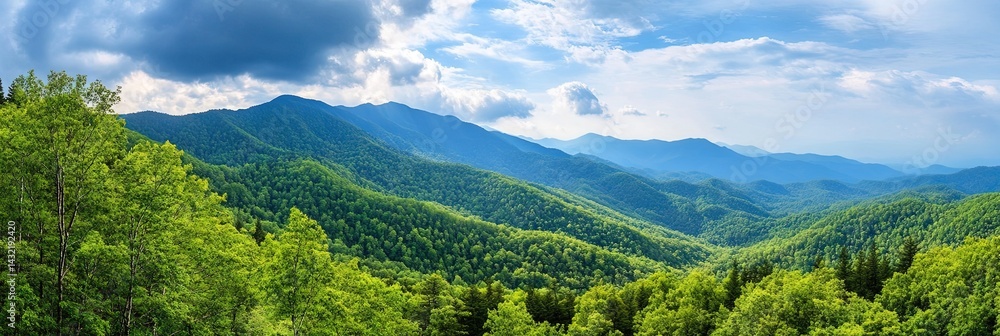 Fototapeta premium great smoky mountains national park