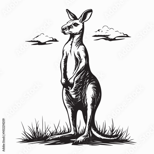 Fotografía A Kangaroo standing on its hind legs in a field Image Vector On white Background