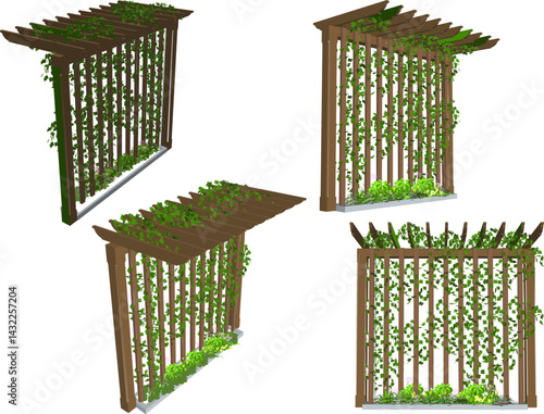 vector sketch illustration of wooden pergola design silhouette with vines for shade decoration in the garden