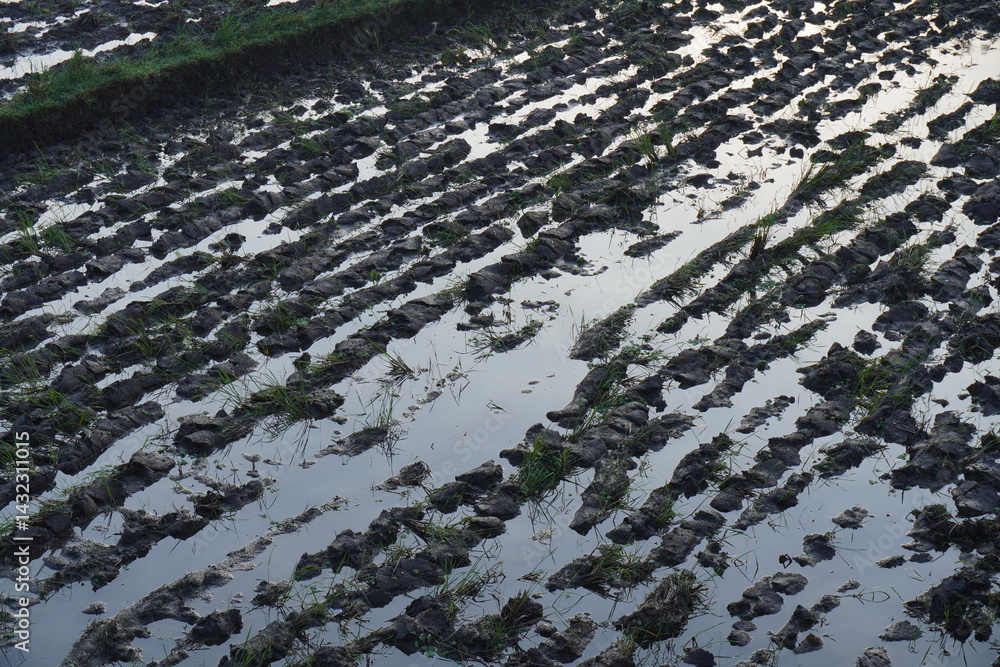 Naklejka premium aerial view of a field