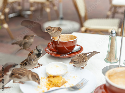 Scavenging sparrows on cafe table