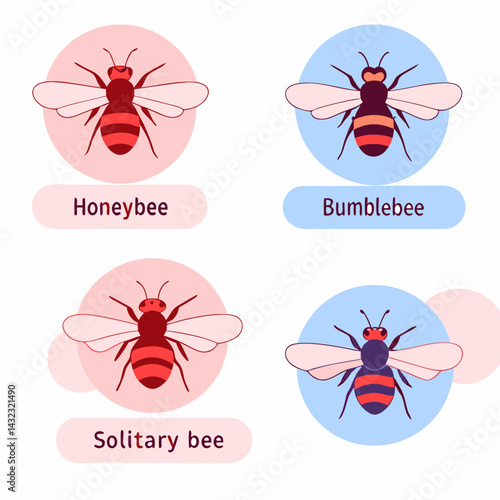 Bee Types and Their Characteristics Honeybee Bumblebee Solitary Bee and More