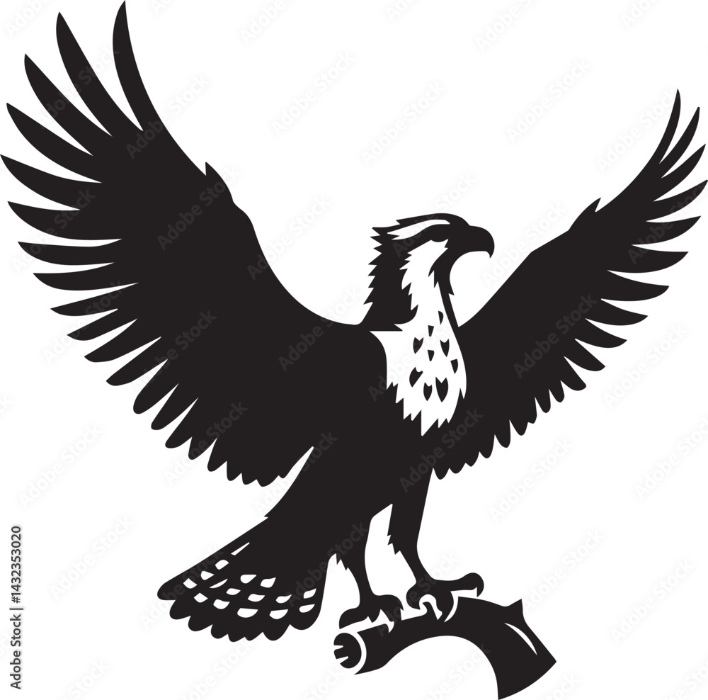 Obraz premium eagle on a white background vector, eagle logo silhouette vector
