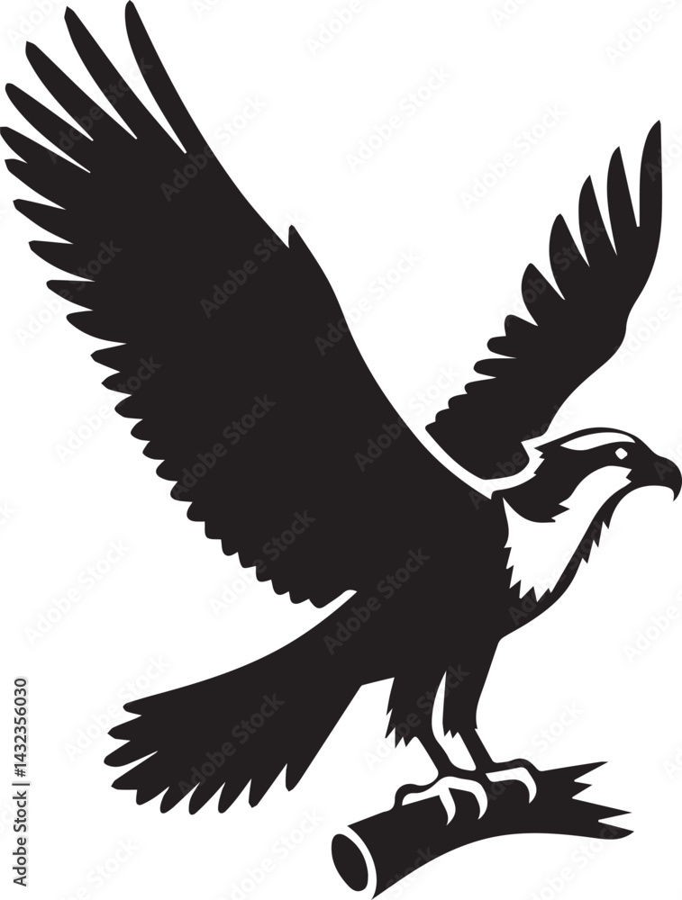 Obraz premium eagle on a white background vector, eagle logo silhouette vector