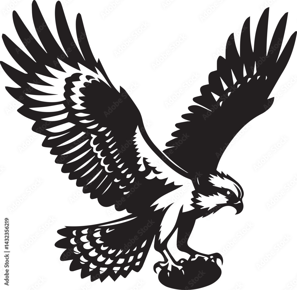 Obraz premium eagle on a white background vector, eagle logo silhouette vector