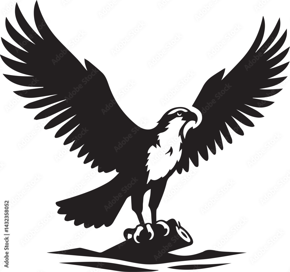 Obraz premium eagle on a white background vector, eagle logo silhouette vector