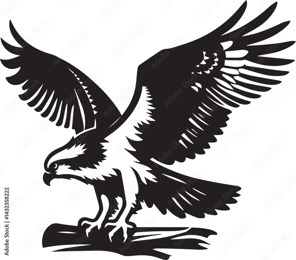 Fototapeta premium eagle on a white background vector, eagle logo silhouette vector