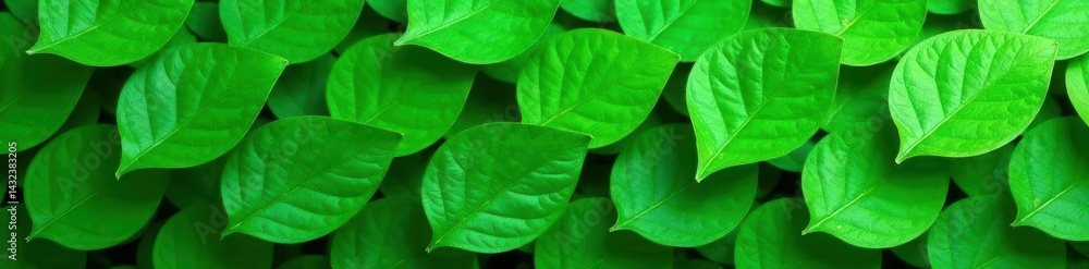 Fototapeta premium Horizontal green leaf texture, seamless repeat pattern, pattern, vibrant