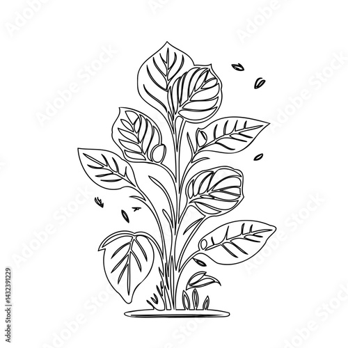 Elegant botanical illustration featuring a lush plant with delicately veined leaves