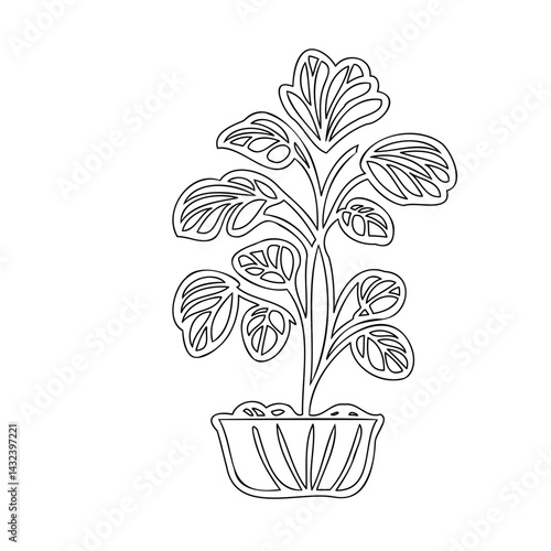 Stylized houseplant illustration in outline form for creative design needs