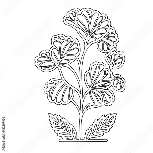 Ornate botanical line art illustration for coloring or design embellishment
