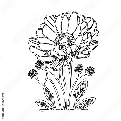 Elegant floral contour illustration portraying blossom with intricate petal patterns