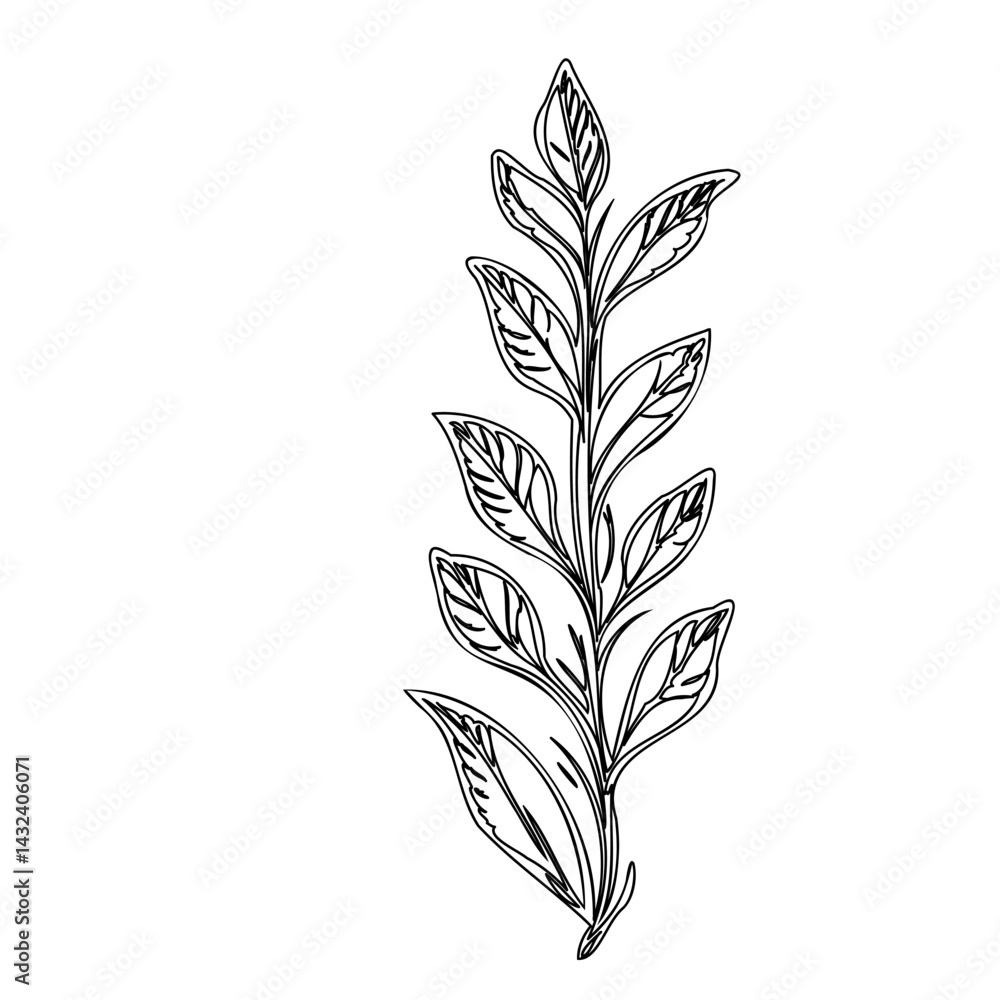 Elegant botanical line art depicting stylized foliage on a graceful stem Elegant botanical line art depicting stylized foliage on a graceful stem