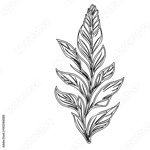 Elegant botanical line drawing of a leafy plant with textured folliage