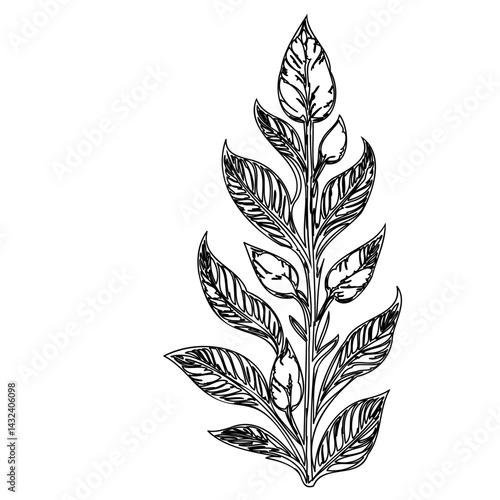 Elegant botanical branch sketch with delicately textured leaves on white