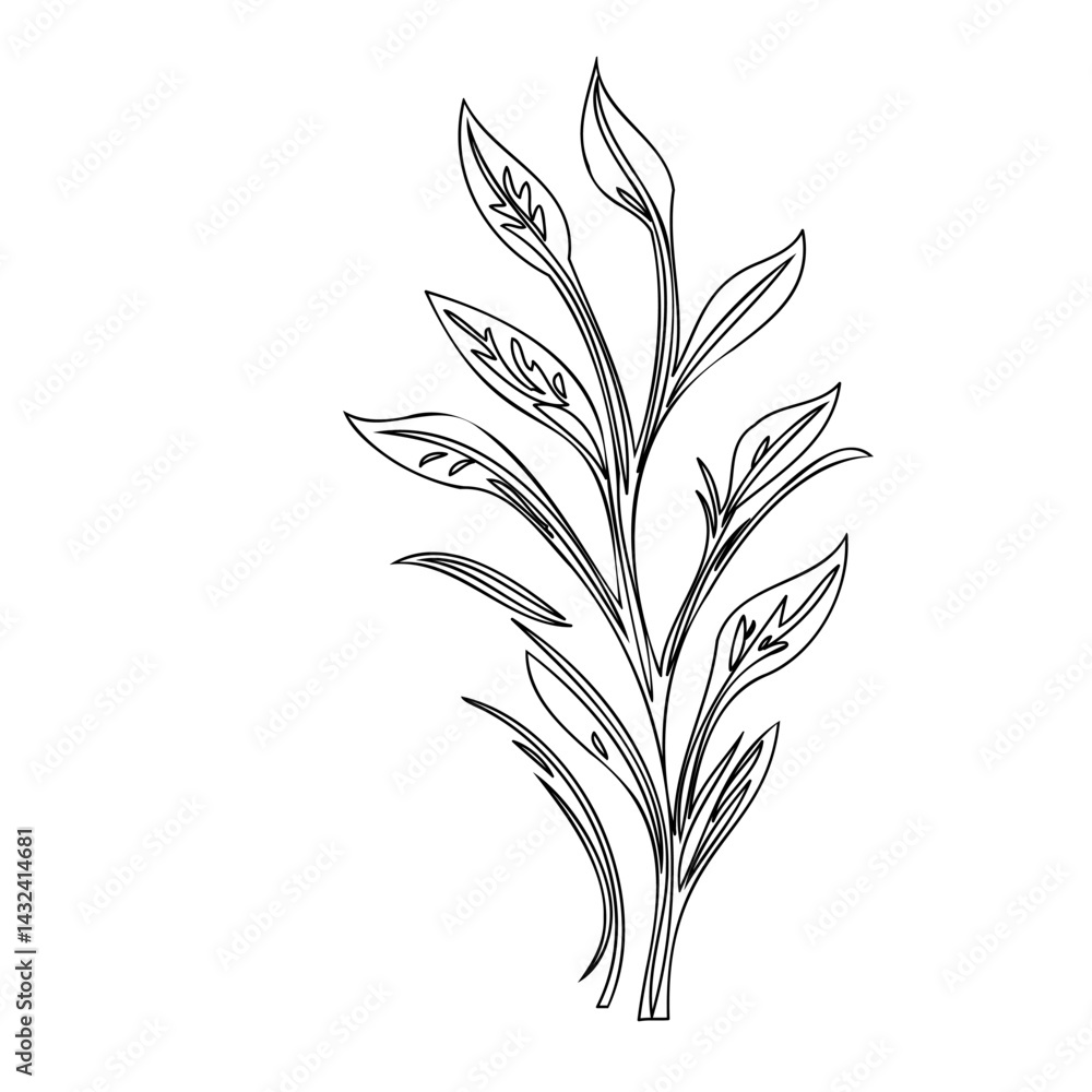Fototapeta premium Elegant botanical drawing: a stylized plant with delicate linework design
