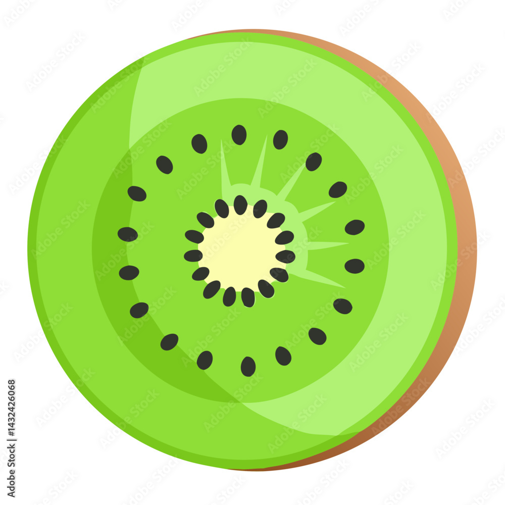 Slice of Kiwi Fruit Vector Illustration Slice of Kiwi Fruit Vector Illustration