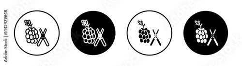 Pruning grape Simple vector icons illustrations for graphic design.