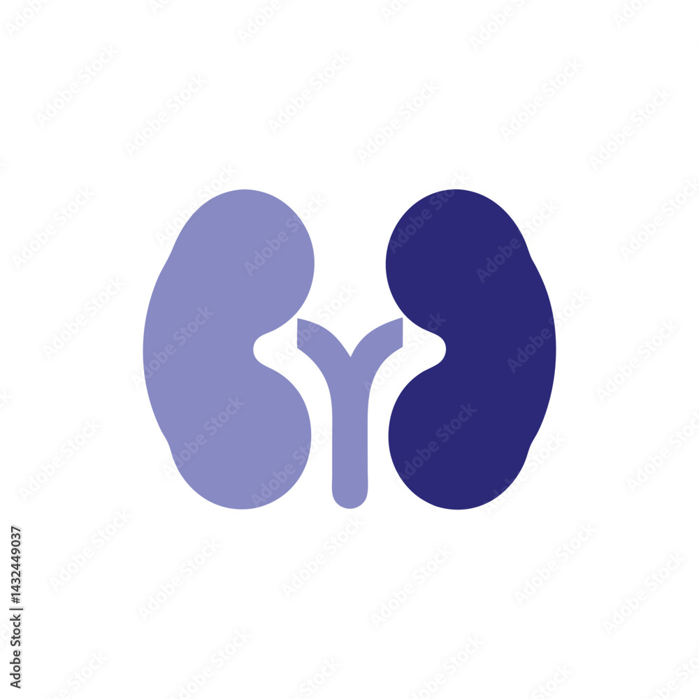 Fototapeta premium Human Kidneys Icon Medical Illustration, Healthcare Symbol