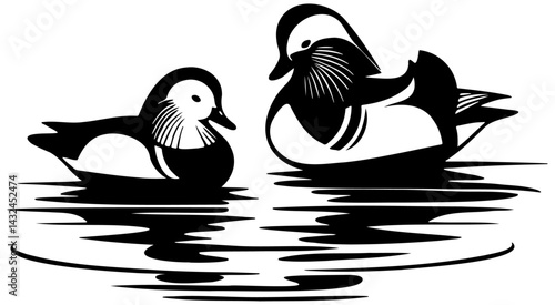 Mandarin Duck Couple Illustration.