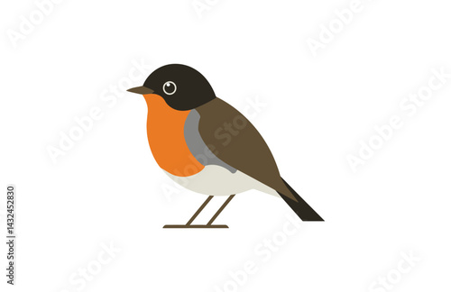 Stylized robin bird vector drawing

