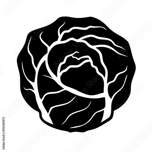 Cabbage Head Cross Section Icon Design