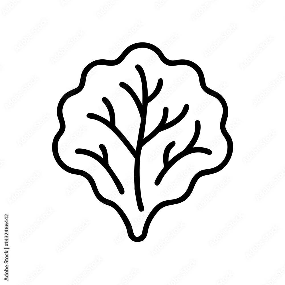 Fototapeta premium Lettuce or Leafy Salad Icon Design