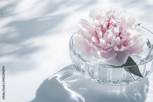 Obraz na płótnie Peony Flower Floats in Glass Bowl, Serene w salonie