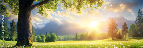 Mountain Meadow Sunrise: Nature's Peace
