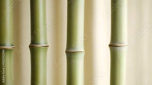 Obraz na płótnie Serene Bamboo Stalks, Nature's Grace w salonie