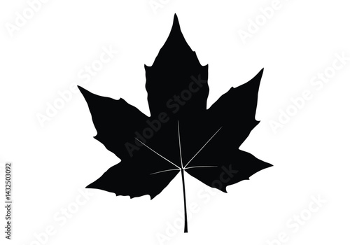 Sycamore leaf silhouette. This image shows a black silhouette of a sycamore leaf with detailed edges and a smaller leaf attached to the stem. Vector clipart illustration design.