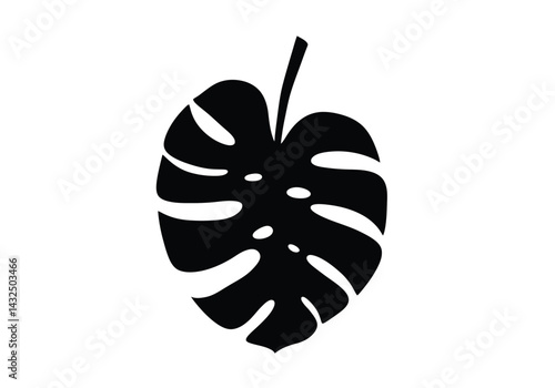 Monstera leaf silhouette. This image shows a black silhouette of a Monstera leaf, also known as Monstera deliciosa or Swiss cheese plant. Vector clipart illustration design.