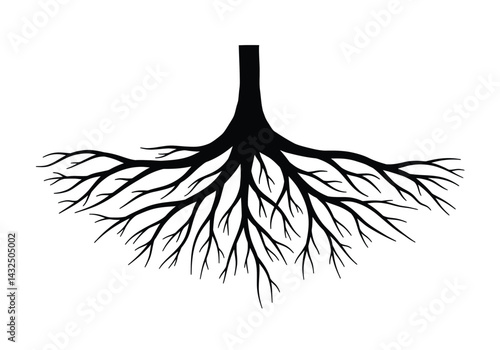 Root silhouette. This image shows a black silhouette of a tree root system with branching roots spreading outwards. Vector clipart illustration design.