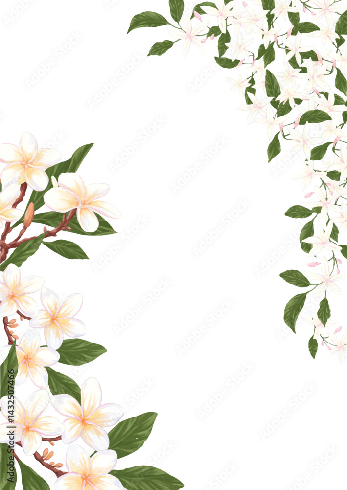 Obraz premium Jasmine and frangipani flower frame design