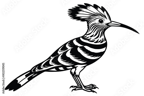 The Beauty of the Eurasian Hoopoe Note the Long Slender Beak