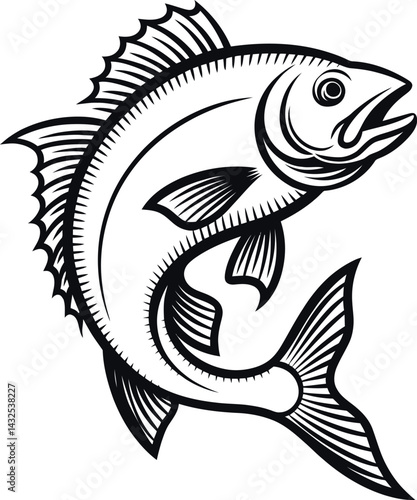 fish vector illustration