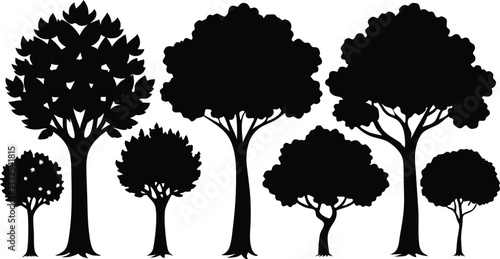 Beautiful Tree Isolated Silhouette Vector Illustration Natural Forest Elements in Black Outline Art