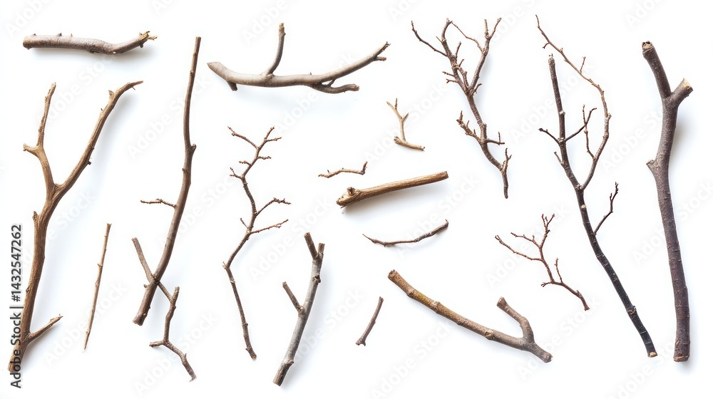 Fototapeta premium Assorted dry branches on a white background