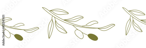 Olive border, rustic seamless pattern. Vector vintage band. Hand drawn texture branch, green fruit, graphic leaves on white background. Organic farm oil