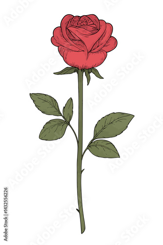 Rose's Allure: A vivid illustration of a solitary red rose in full bloom, showcasing delicate petals and a slender stem with leafy details, symbolising beauty and passionate emotion.
