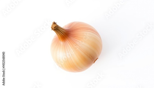 Single onion, top view (1)
