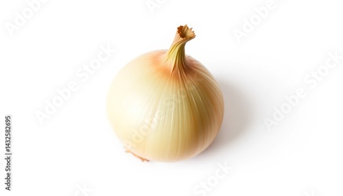 Wallpaper Mural Single Yellow Onion, Top View (1) Torontodigital.ca